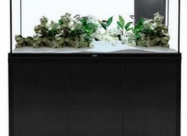 Bồn composite nuôi cá cảnh có nhiều ưu điểm