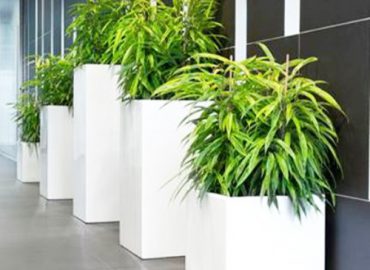 Chậu hoa composite cỡ lớn